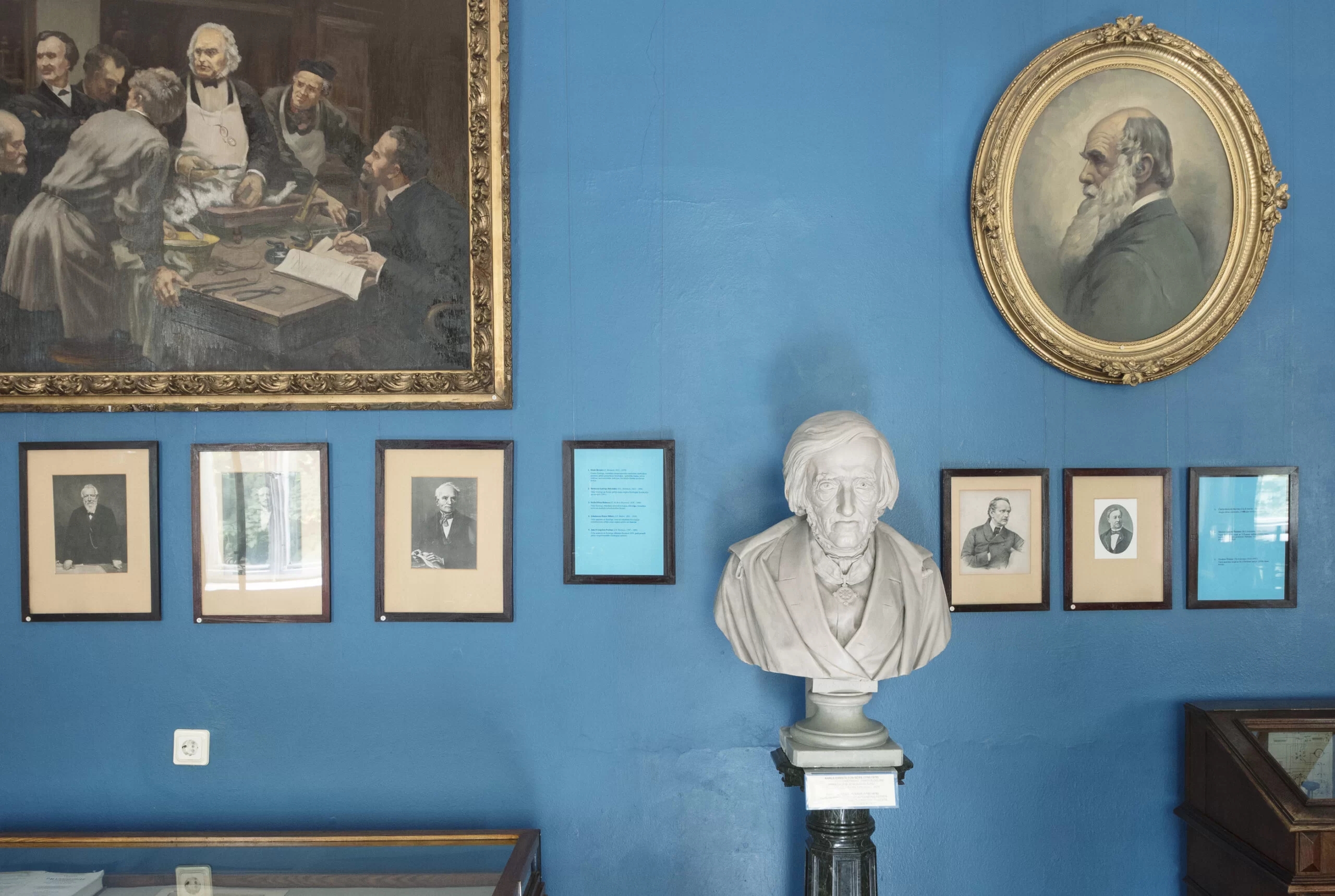 A photograph from a museum display showing a white bust of a man. There are two paintings on a pale blue wall, one depicting an operating room scene, the other a portrait of a man. Photographs of other portraits are also visible on the wall.