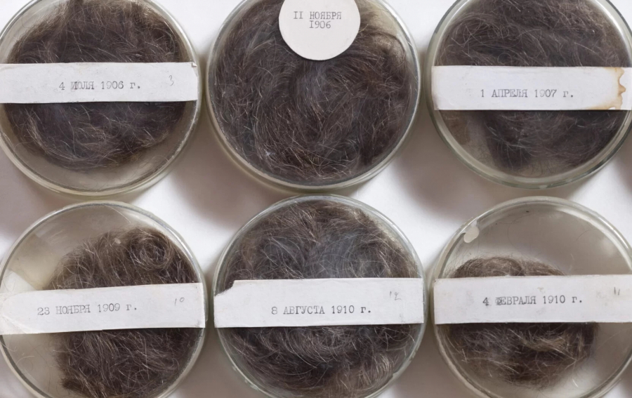 Six hair samples of Ilya Mechnikov taken in the period from 1906 to 1910