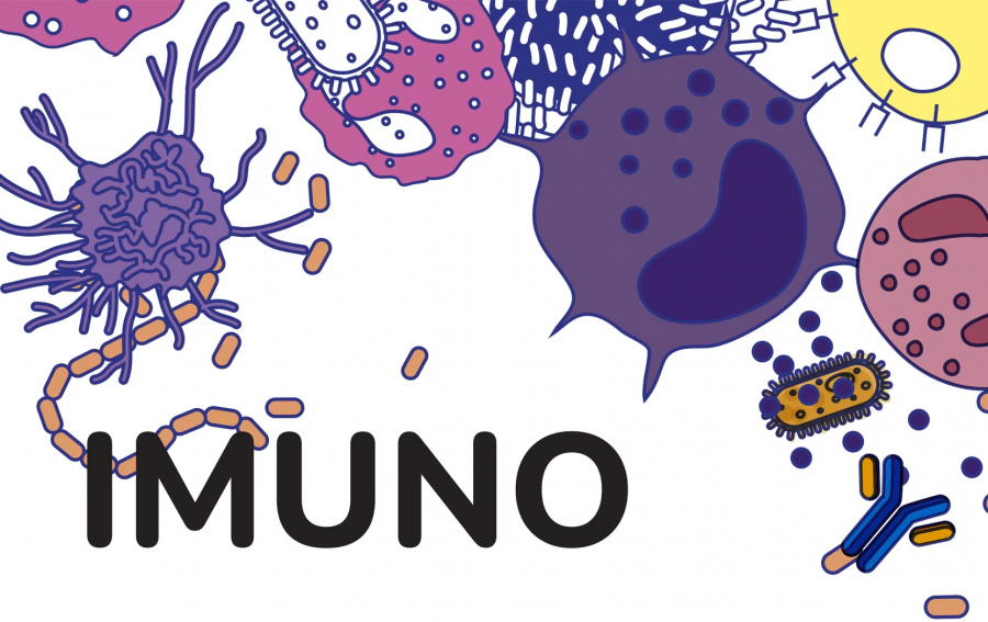 Illustration with different cells and the title - IMUNO